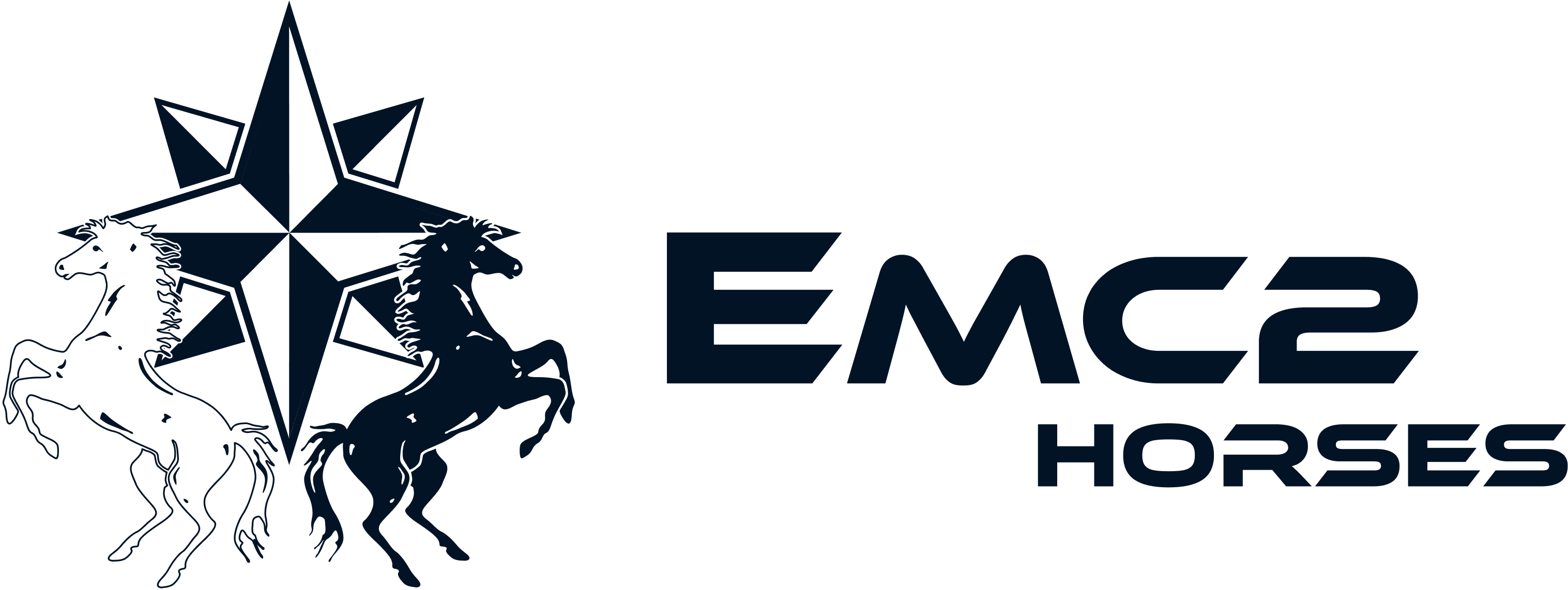 logo-emc-2